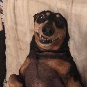 Meet your Posher, Shane